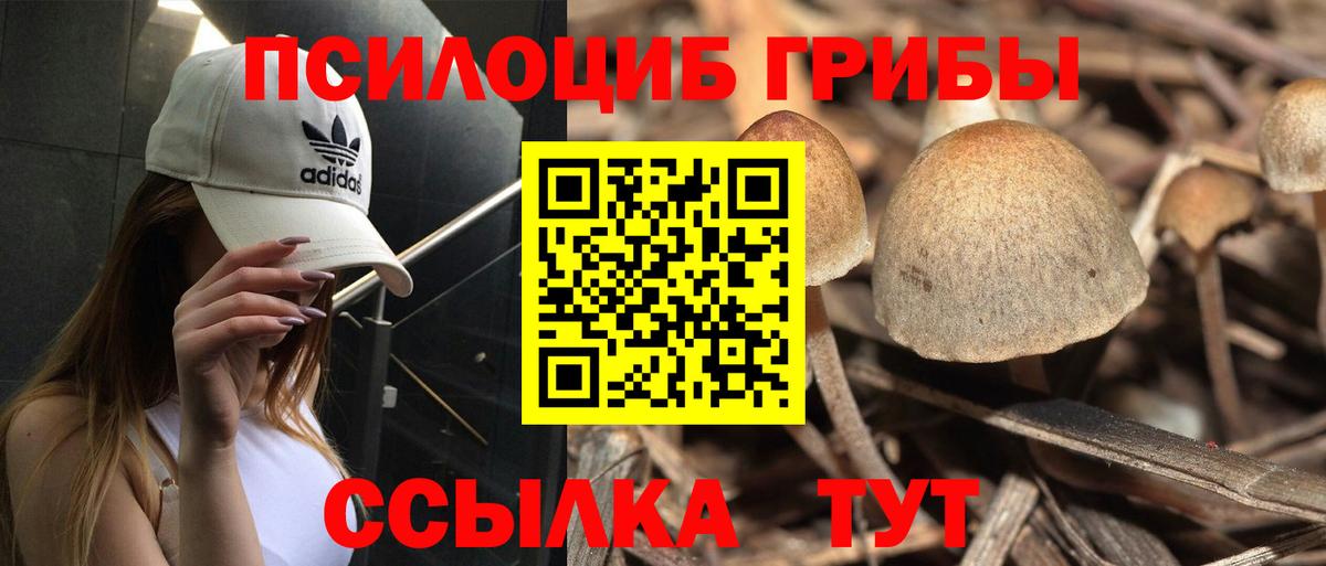 Псилоцибиновые грибы MAGIC MUSHROOMS  Вход с VPN  Дзержинский 